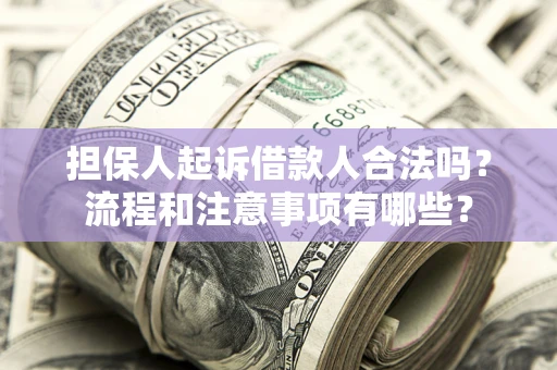 北京担保人起诉借款人合法吗？流程和注意事项有哪些？