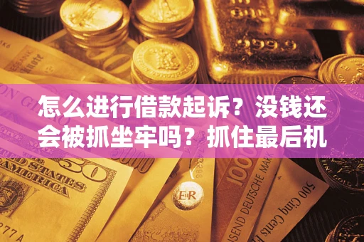 北京怎么进行借款起诉？没钱还会被抓坐牢吗？抓住最后机会！