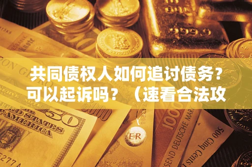 北京共同债权人如何追讨债务？可以起诉吗？（速看合法攻略）