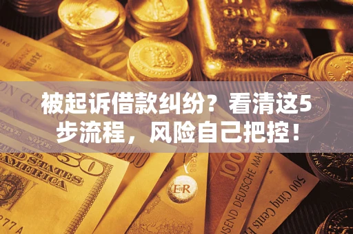 北京被起诉借款纠纷？看清这5步流程，风险自己把控！